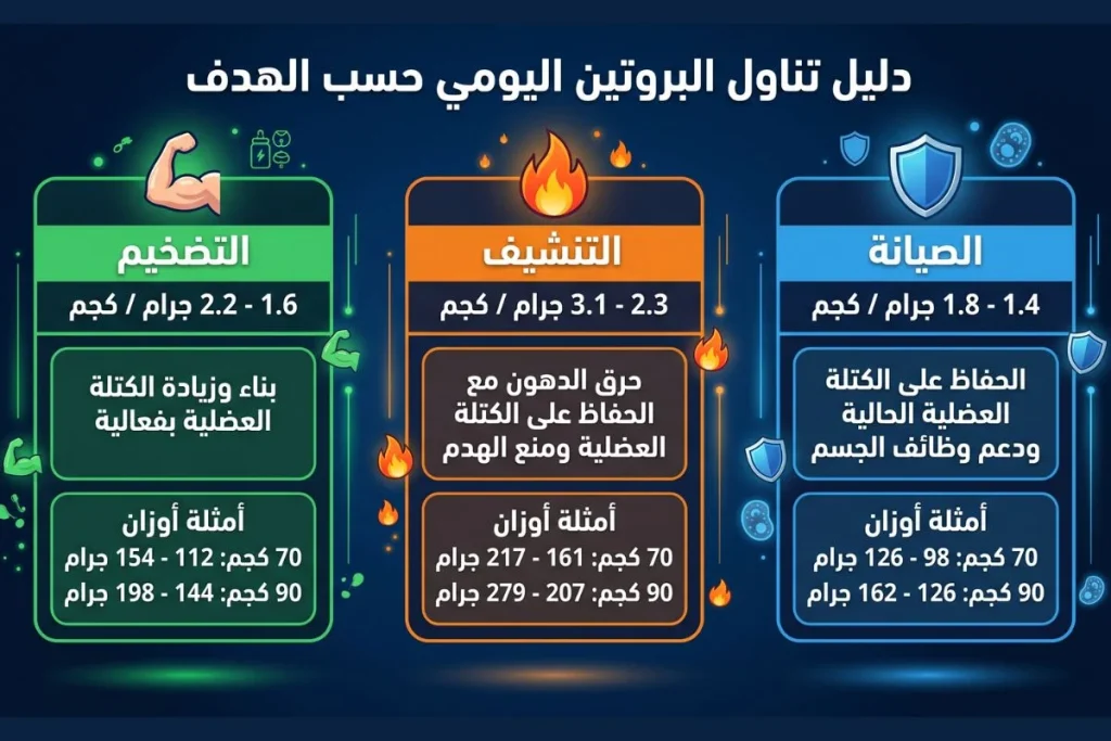 كم يحتاج لاعب كمال الأجسام من البروتين يومياً؟
